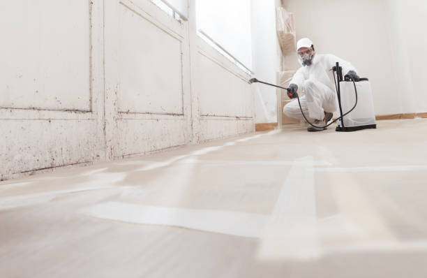 24/7 Emergency Mold Inspection experts in Poquoson, VA